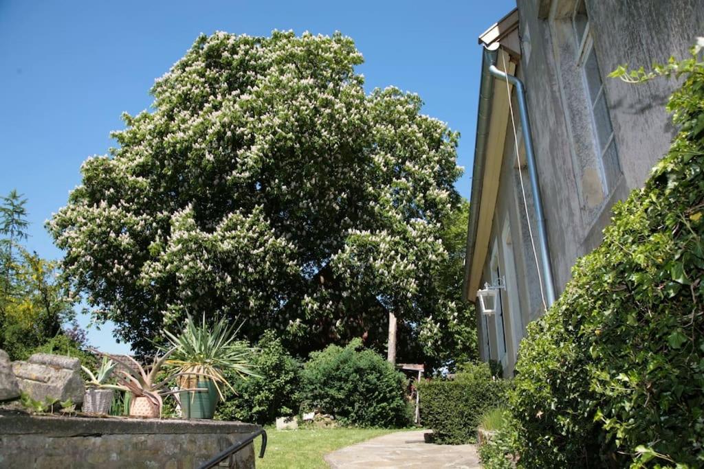 Haus Keppelborg: Zi Ferdinand Mit Rosengartenblick Heek Zewnętrze zdjęcie